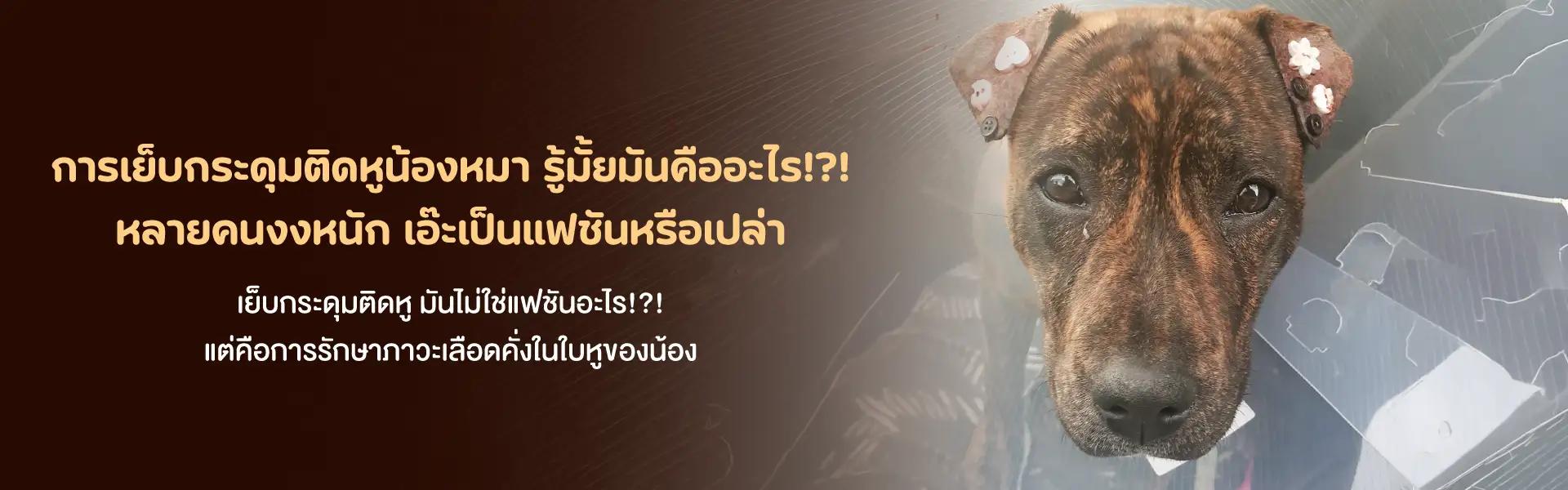 Article Banner
