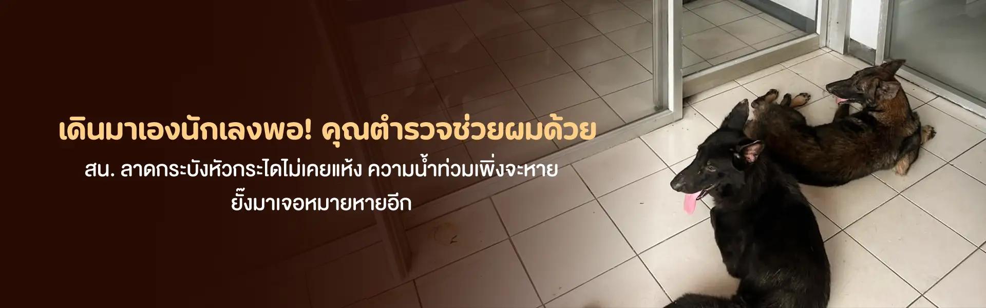 Article Banner