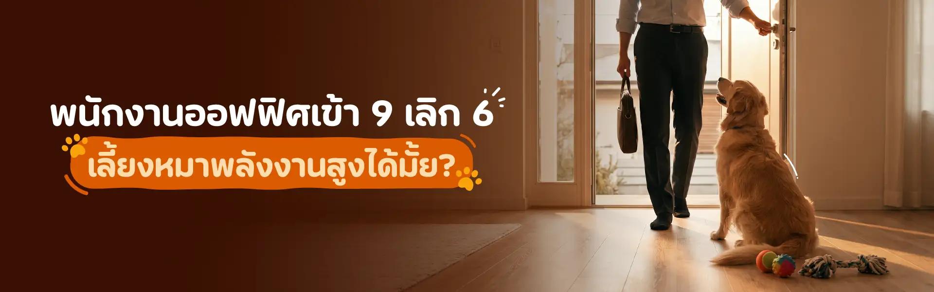 Article Banner