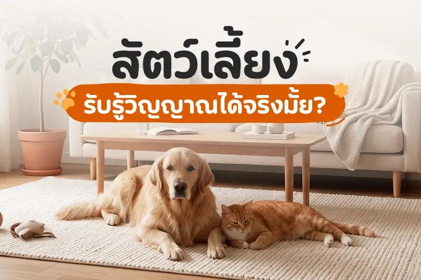 สัตว์เลี้ยงรับรู้วิญญาณได้จริงมั้ย?