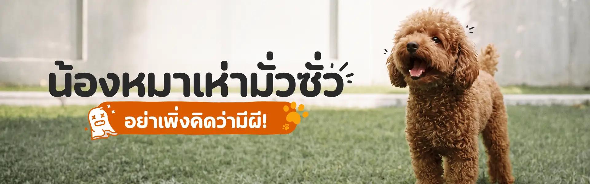 Article Banner