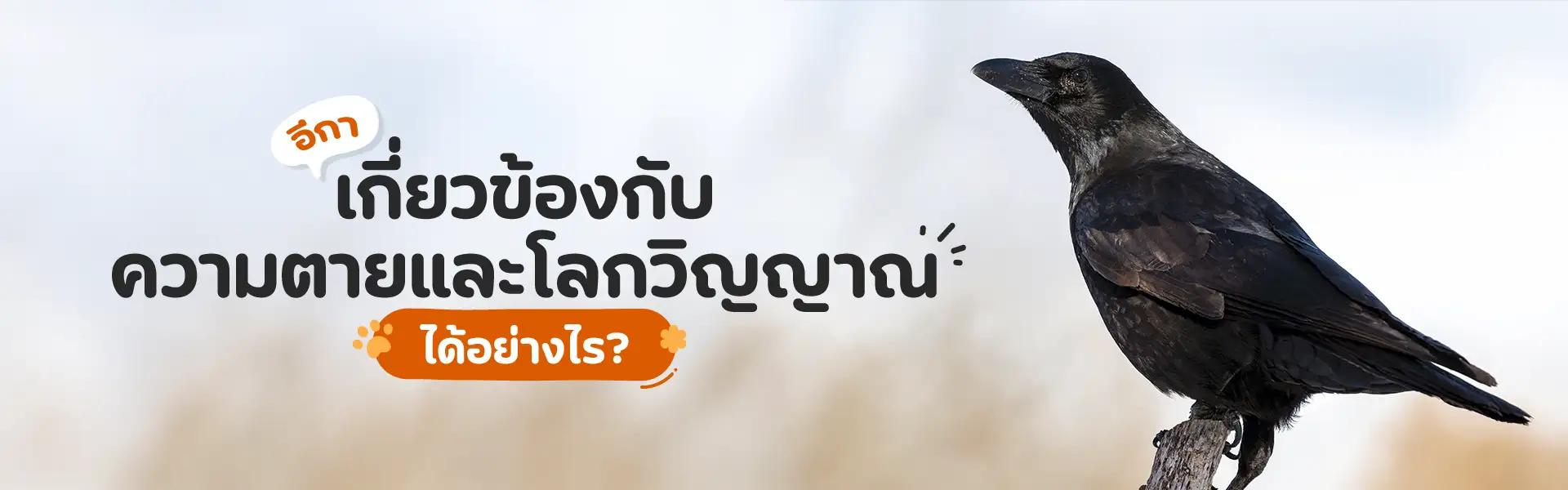 Article Banner