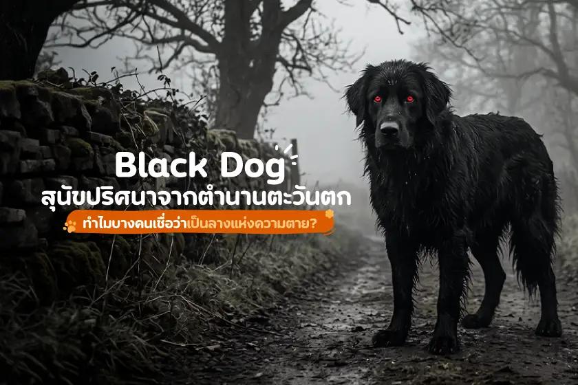 Black Dog สุนัขปริศนาจากตำนานตะวันตก ลางแห่งความตาย?