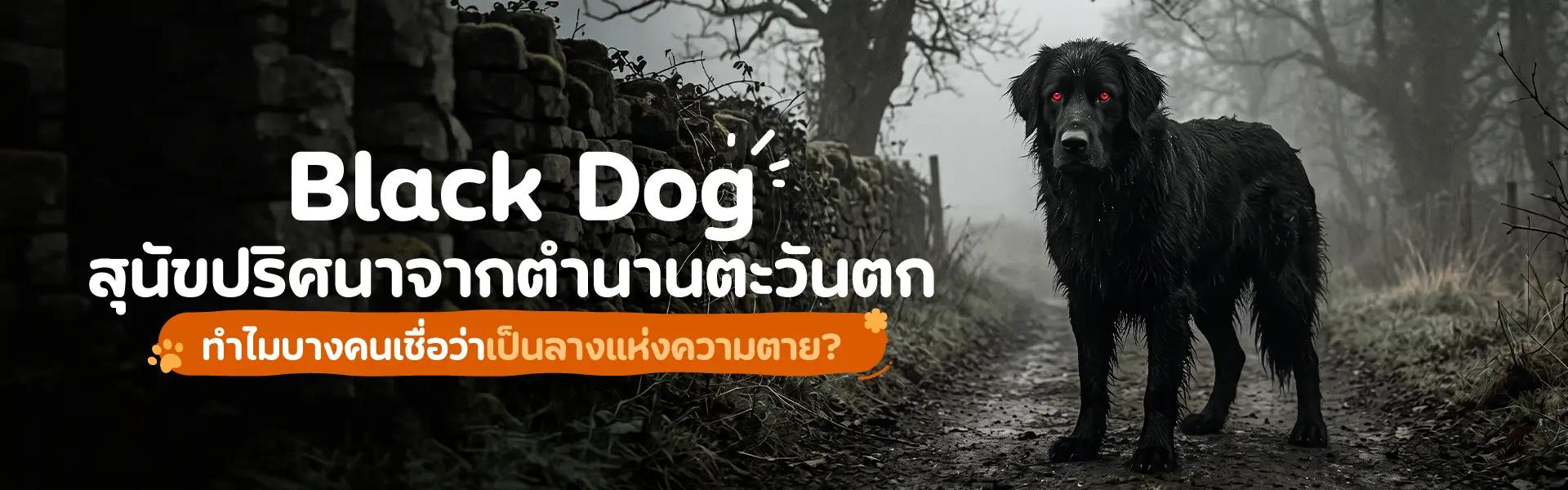 Article Banner