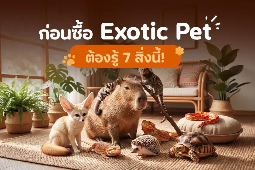 ก่อนซื้อ Exotic Pet ต้องรู้ 7 สิ่งนี้!