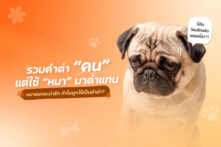 รวมคำด่าคน แต่ใช้หมามาด่าแทน