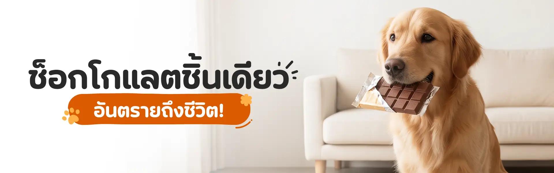Article Banner