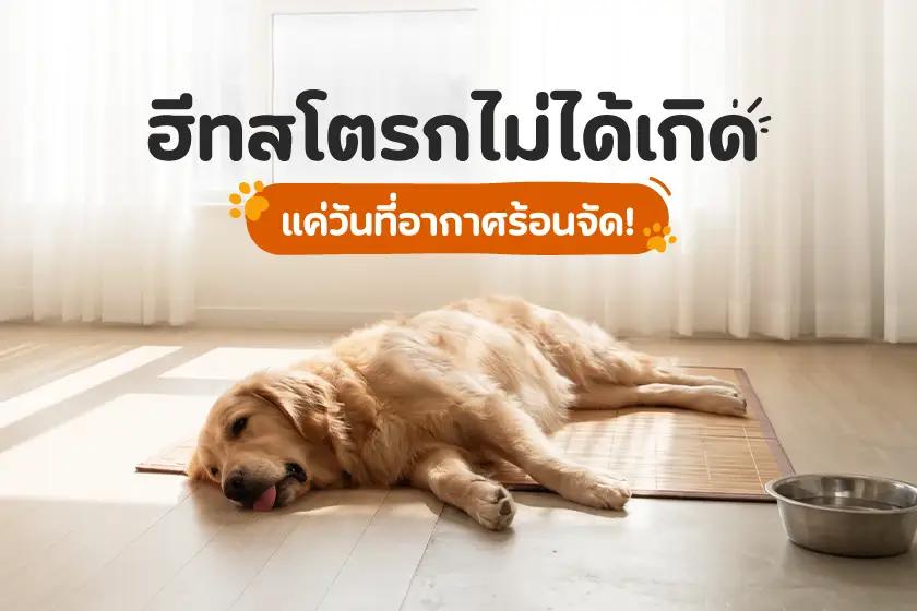 ฮีทสโตรกไม่ได้เกิดแค่วันที่อากาศร้อนจัดเท่านั้น!