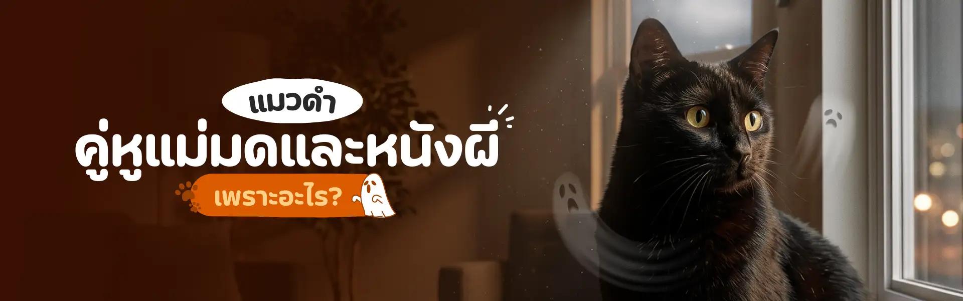 Article Banner