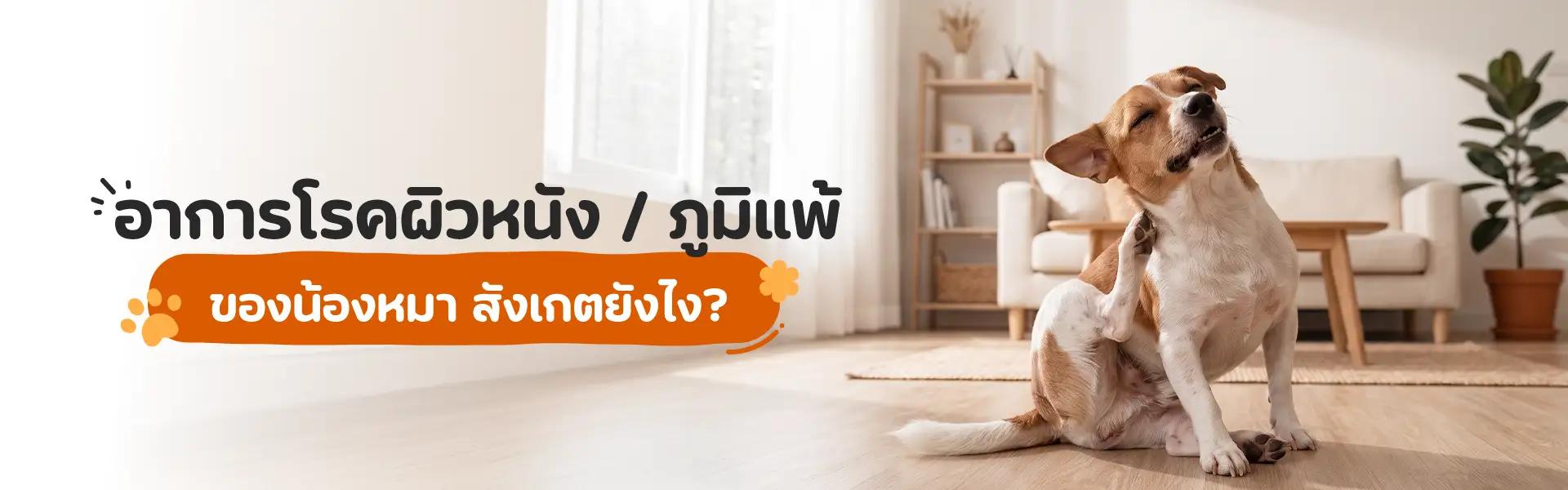 Article Banner